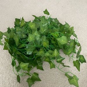 wall decorative vines